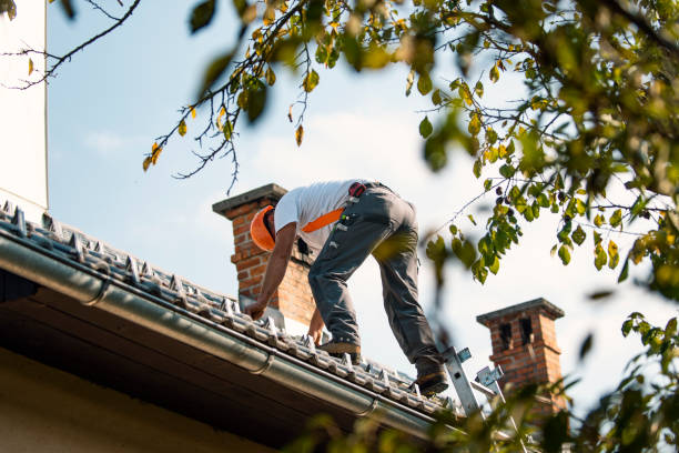 Best New Roof Installation  in Edwardsburg, MI