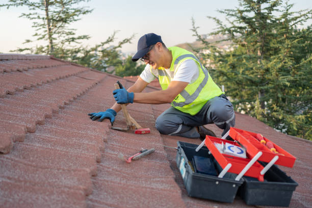 Best Local Roofing Companies  in Edwardsburg, MI